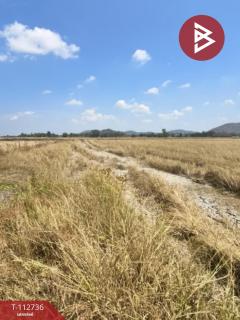 ขายที่ดิน เนื้อที่ 42 ไร่ 52 ตร.วา เขาพระ สุพรรณบุรี-202506050952061749091926146.jpg