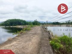 ขายที่ดิน เนื้อที่ 37 ไร่ 68.7 ตร.วา เกาะขวาง จันทบุรี-202506051044511749095091189.jpg