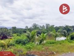 ขายที่ดิน เนื้อที่ 37 ไร่ 68.7 ตร.วา เกาะขวาง จันทบุรี-202506051044531749095093119.jpg