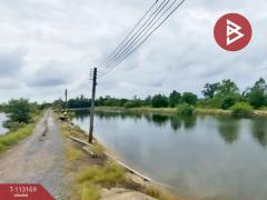 ขายที่ดิน เนื้อที่ 37 ไร่ 68.7 ตร.วา เกาะขวาง จันทบุรี-202506051044541749095094903.jpg