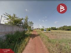 ขายที่ดิน เนื้อที่ 4 ไร่ กลางเมืองนาหว้า นครพนม ทำเลดี-202506051052231749095543691.jpg