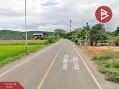 ขายที่ดินพร้อมสิ่งปลูกสร้าง เนื้อที่ 3 งาน 93.8 ตร.วา ธรรมามูล ชัยนาท-202506051054581749095698851.jpg