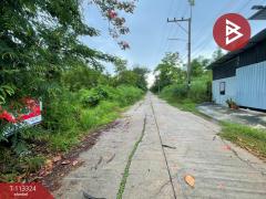 ขายที่ดิน เนื้อที่ 1 งาน หนองเสือ ปทุมธานี-202506051532481749112368442.jpg