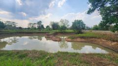 ขายด่วนที่ดินถมแล้ว ปากพลี นครนายก แปลงสวยขนาด 4 ไร่ 41.9 ตร.ว. ติดถนน-202506051537061749112626952.jpg