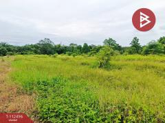ขายที่ดิน เนื้อที่ 10 ไร่ 3 งาน 96 ตร.วา ท่ากุ่ม ตราด-202506051551241749113484559.jpg