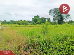 ขายที่ดิน เนื้อที่ 10 ไร่ 3 งาน 96 ตร.วา ท่ากุ่ม ตราด-202506051551251749113485157.jpg
