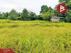 ขายที่ดิน เนื้อที่ 10 ไร่ 3 งาน 96 ตร.วา ท่ากุ่ม ตราด-202506051551261749113486964.jpg