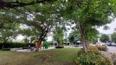 ขายหมู่บ้านพฤกษา130 หนองจอก-สุวินทวงศ์ ลดราคาเหลือ 1.55 ล้าน (N.715)-202506051555111749113711158.jpg
