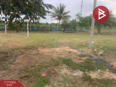 ขายที่ดินพร้อมสิ่งปลูกสร้าง เนื้อที่ 2 ไร่ บ้านแหลม เพชรบุรี-202506051558191749113899269.jpg
