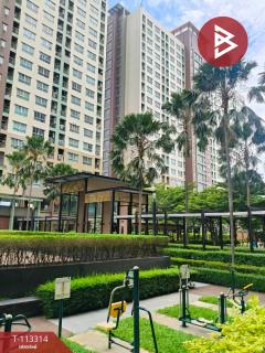 ขายคอนโดมิเนียม ลุมพินี เพลส รัชโยธิน (Lumpini Place Ratchayothin) จตุจักร กรุงเทพมหานคร-202506051625341749115534298.jpg