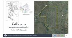 ขายด่วน...ที่นา อ.ดอกคำใต้ จ.พะเยา วิวเขา มีน้ำตลอดปี อากาศดีมาก ฮวงจุ้ยดี โทร 099-1961001-202506051740211749120021003.jpg