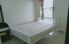 RM281  ให้เช่าทาวน์เฮ้าส์ 2 ชั้น เฟอร์นิเจอร์ครบ เดอะแพลนท์ซิตี้ นาคนิวาส 48-202506051820371749122437985.jpg