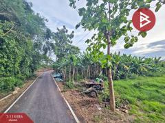 ขายที่ดิน เนื้อที่ 2 ไร่ 87.7 ตร.วา บ้านโป่ง ราชบุรี-202506052042151749130935527.jpg