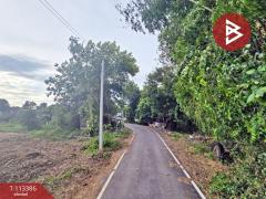 ขายที่ดิน เนื้อที่ 2 ไร่ 87.7 ตร.วา บ้านโป่ง ราชบุรี-202506052042161749130936754.jpg