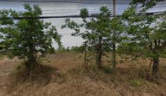 ขาย ที่ดิน 9-2-9 ไร่ ติด สน.บางซ้าย อยุธยา แปลงสี่เหลี่ยม เหมาะทำหมู่บ้าน ตึกแถว-202506052058151749131895148.jpg