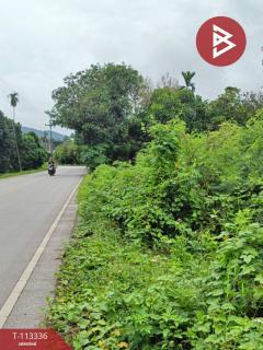 ขายที่ดิน เนื้อที่ 4 ไร่ 1 งาน 15.3 ตร.วา มะขาม จันทบุรี-202506052102541749132174359.jpg