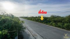 ขาย ที่ดินพานทอง บางนาง 11-2-49 ไร่ ใกล้ ถนนบ้านเก่า เหมาะสร้างบริษัท โกดัง คลังสินค้า ออฟฟิศ บ้านจัดสรร-202506052159371749135577871.jpg