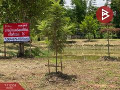 ขายที่ดินพร้อมสิ่งปลูกสร้าง เนื้อที่ 2 ไร่ พระยืน ขอนแก่น-202506061024311749180271025.jpg