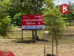 ขายที่ดินพร้อมสิ่งปลูกสร้าง เนื้อที่ 2 ไร่ พระยืน ขอนแก่น-202506061024341749180274562.jpg