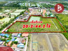 ขายที่ดิน เนื้อที่ 20 ไร่ 2 งาน 44.2 ตร.วา คลองโคน สมุทรสงคราม-202506061040171749181217431.jpg