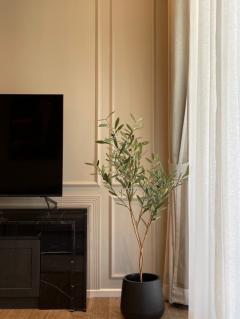 ขาย-ให้เช่า คอนโดมิวนีค หลังสวน, 56 ตรม, ชั้น 9 *ใกล้สวนลุมเพียง 5 นาที* FULLY FURNISHED-202506061209561749186596290.jpg