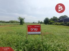 ขายที่ดิน-เนื้อที่-4-ไร่-2-งาน-56-ตร.วา
