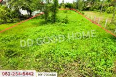 NY-703464 ที่ดินพรหมพิราม 349 ตร.ว. พิษณุโลก ใกล้วัดบ้านซ่อง-202506061318411749190721755.jpg