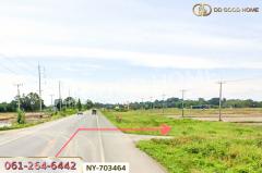 NY-703464 ที่ดินพรหมพิราม 349 ตร.ว. พิษณุโลก ใกล้วัดบ้านซ่อง-202506061318421749190722379.jpg
