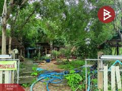 ขายบ้านเดี่ยวพร้อมที่ดิน เนื้อที่ 1 ไร่ 84 ตร.วา นครสวรรค์ตก นครสวรรค์-202506061422091749194529547.jpg