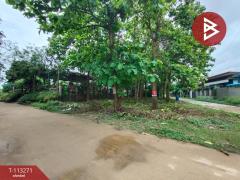 ขายที่ดิน เนื้อที่ 2 งาน 13.7 ตร.วา ท่าเสา อุตรดิตถ์-202506061434141749195254272.jpg