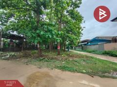 ขายที่ดิน เนื้อที่ 2 งาน 13.7 ตร.วา ท่าเสา อุตรดิตถ์-202506061434151749195255434.jpg