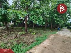 ขายที่ดิน เนื้อที่ 2 งาน 13.7 ตร.วา ท่าเสา อุตรดิตถ์-202506061434191749195259738.jpg