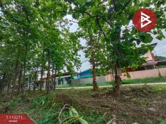 ขายที่ดิน เนื้อที่ 2 งาน 13.7 ตร.วา ท่าเสา อุตรดิตถ์-202506061434231749195263481.jpg