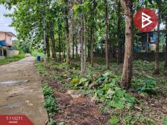 ขายที่ดิน เนื้อที่ 2 งาน 13.7 ตร.วา ท่าเสา อุตรดิตถ์-202506061434261749195266500.jpg