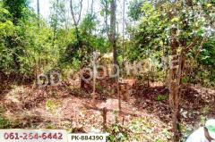 PK-884390 ที่ดินเสนางคนิคม 5 ไร่ 199.2 ตร.ว. อำนาจเจริญ ใกล้วัดนาเวียง-202506061446311749195991040.jpg