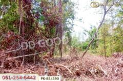 PK-884390 ที่ดินเสนางคนิคม 5 ไร่ 199.2 ตร.ว. อำนาจเจริญ ใกล้วัดนาเวียง-202506061446311749195991675.jpg