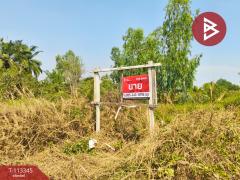 ขายที่ดิน เนื้อที่ 7 ไร่ 3 งาน 61 ตร.วา องครักษ์ นครนายก