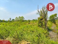 ขายที่ดิน เนื้อที่ 7 ไร่ 3 งาน 61 ตร.วา องครักษ์ นครนายก-202506061449231749196163093.jpg