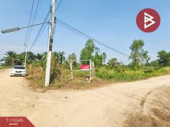 ขายที่ดิน เนื้อที่ 7 ไร่ 3 งาน 61 ตร.วา องครักษ์ นครนายก-202506061449281749196168010.jpg