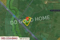 WR-874313 ที่ดิน 7 ไร่ 34 ตร.ว. อำเภอเมืองหนองบัวลำภู ใกล้ศาลากลางจังหวัด-202506061527531749198473025.jpg
