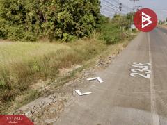 ขายที่ดิน เนื้อที่ 3 ไร่ 42 ตร.วา นาหว้า นครพนม-202506071039191749267559153.jpg