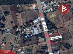 ขายที่ดิน เนื้อที่ 3 ไร่ 42 ตร.วา นาหว้า นครพนม-202506071039211749267561412.jpg