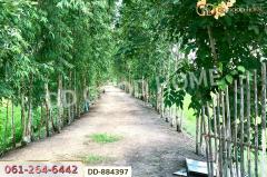 DD-884397 ที่ดินท่าสองคอน 3 ไร่ 100 ตร.ว. มหาสารคาม ใกล้ทะเลบัวแดง-202506071047411749268061858.jpg