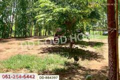 DD-884397 ที่ดินท่าสองคอน 3 ไร่ 100 ตร.ว. มหาสารคาม ใกล้ทะเลบัวแดง-202506071047421749268062486.jpg