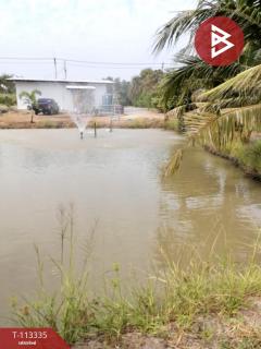 ขายที่ดิน เนื้อที่ 1 ไร่ 3 งาน 79 ตร.วา บางน้ำเปรี้ยว ฉะเชิงเทรา-202506071125331749270333463.jpg