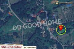 DD-904460 ที่ดินปากช่อง 2 ไร่ 164 ตร.ว. นครราชสีมา ใกล้วัดซับใต้-202506071233161749274396666.jpg