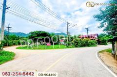 DD-904460 ที่ดินปากช่อง 2 ไร่ 164 ตร.ว. นครราชสีมา ใกล้วัดซับใต้-202506071233171749274397297.jpg