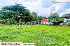 DD-904460 ที่ดินปากช่อง 2 ไร่ 164 ตร.ว. นครราชสีมา ใกล้วัดซับใต้-202506071233181749274398246.jpg