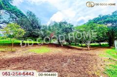 DD-904460 ที่ดินปากช่อง 2 ไร่ 164 ตร.ว. นครราชสีมา ใกล้วัดซับใต้-202506071233181749274398937.jpg