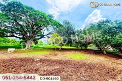 DD-904460 ที่ดินปากช่อง 2 ไร่ 164 ตร.ว. นครราชสีมา ใกล้วัดซับใต้-202506071233191749274399698.jpg